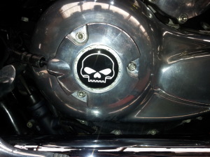 Night Rod Skull Gel Badge from Triumph Custom Parts